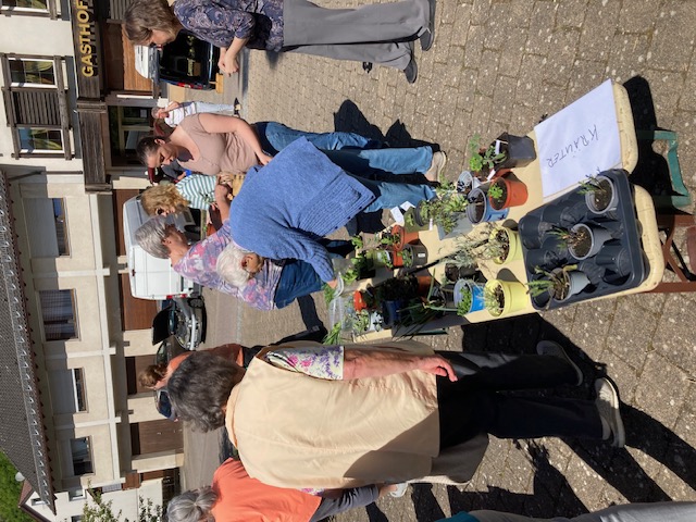 Pflanzentauschbrse am Samstag, 10.05.2025