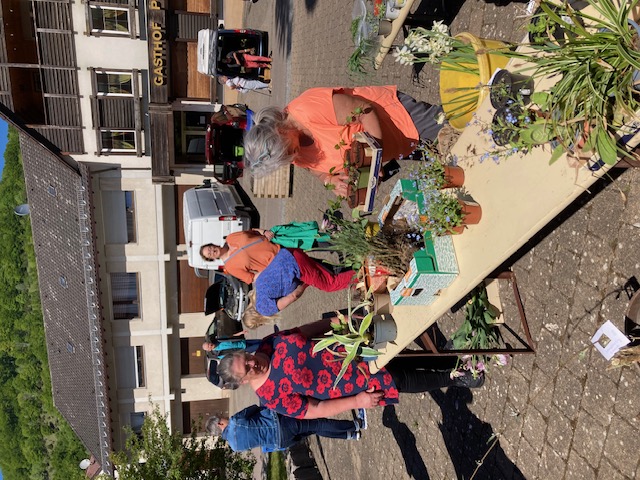 Pflanzentauschbrse am Samstag, 10.05.2025