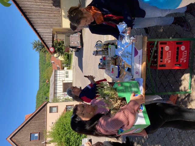 Pflanzentauschbrse am Samstag, 10.05.2025