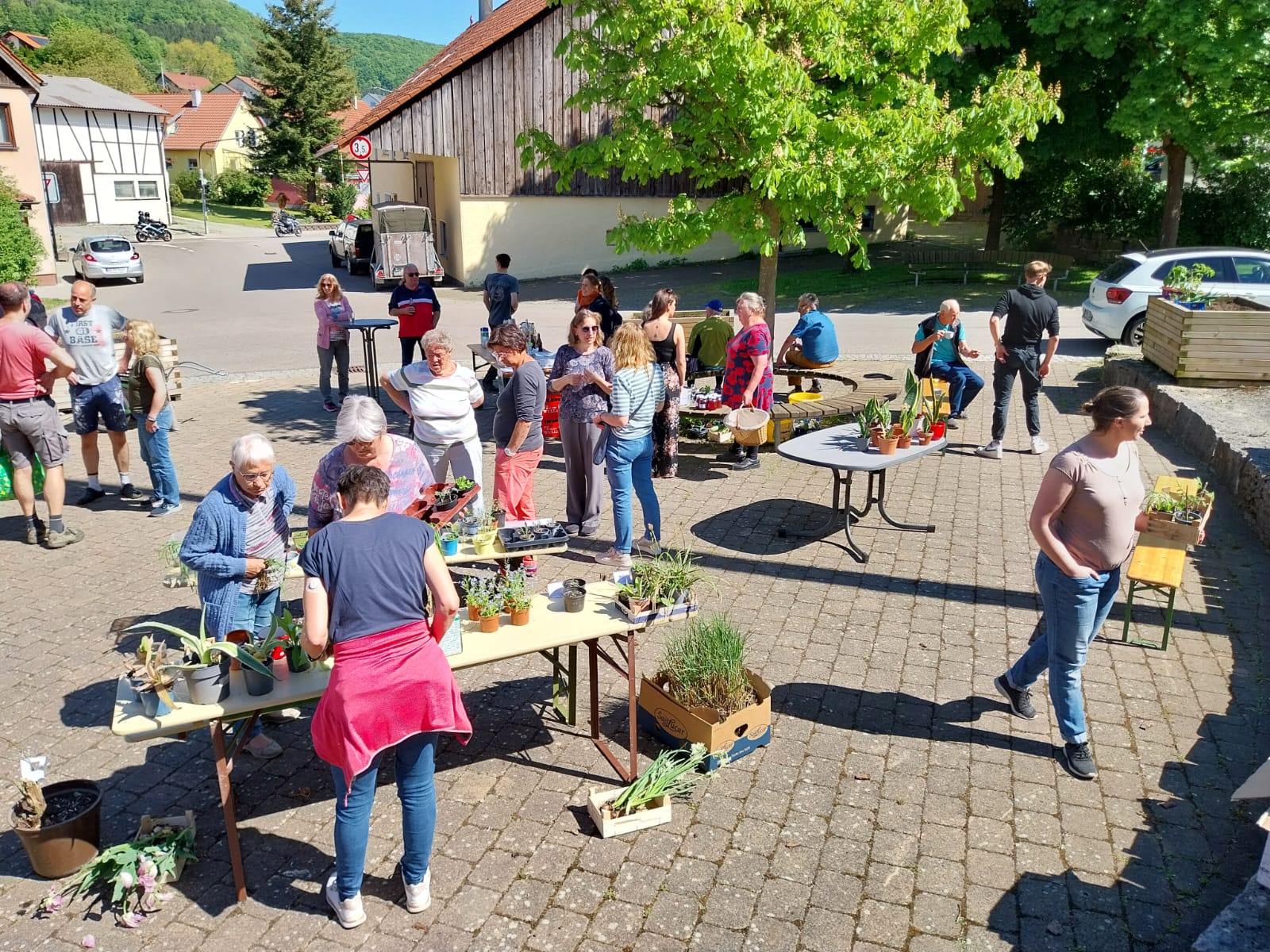 Pflanzentauschbrse am Samstag, 10.05.2025